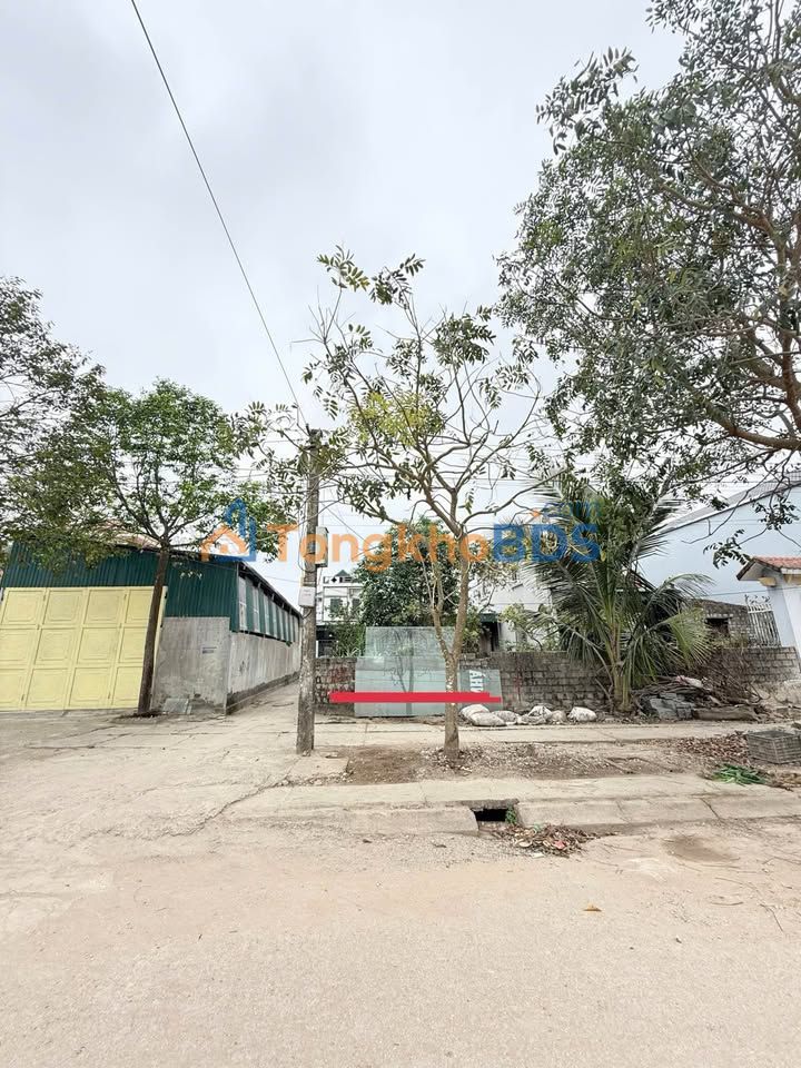 Cần thêm dữ liệu trước khi chốt