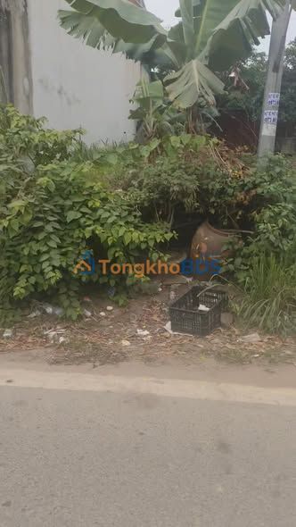 Đất nền Phúc Thọ 110m² 440 triệu - Đường to ô tô kinh doanh