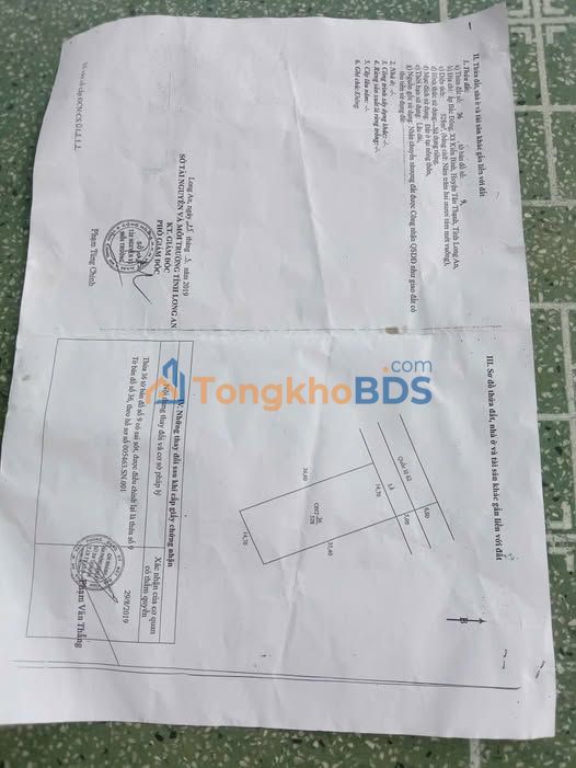 Đất Quốc lộ 62 Tân Thạnh 528m² 12 tỷ - Đường to ô tô