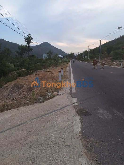 Đất nền Phước Đồng 2.084m² 15 tỷ - Sổ đỏ chính chủ