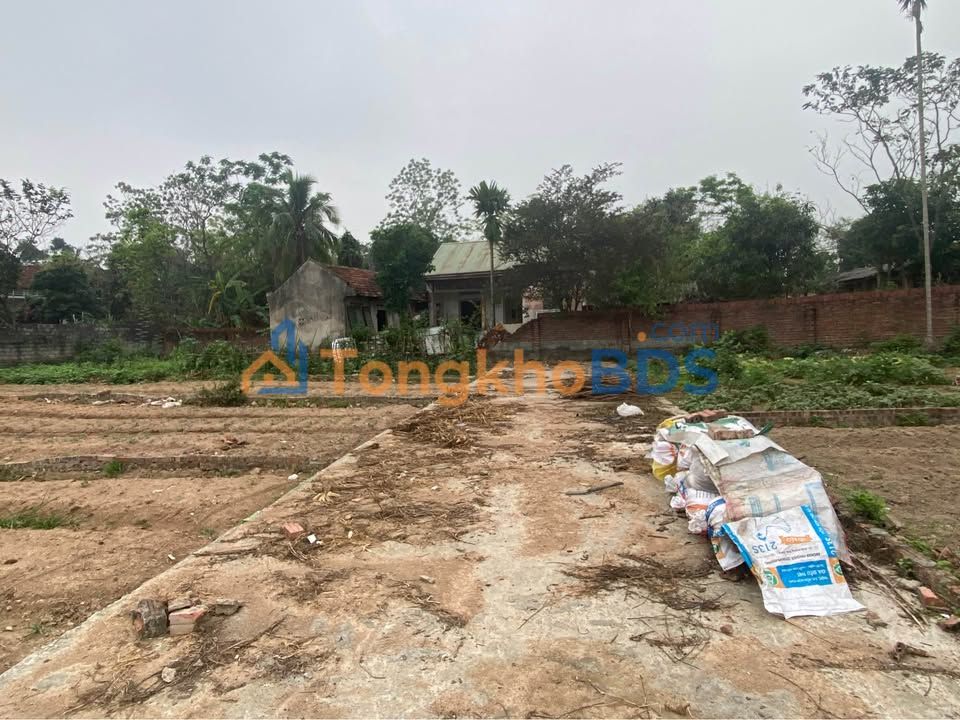 Đất Tam Quan Tam Đảo 100m² thỏa thuận - Sổ đỏ