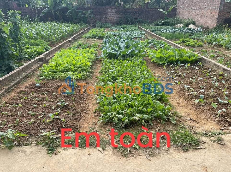 Đất nền Xuân Thu Sóc Sơn 112m² thỏa thuận - Pháp lý rõ ràng