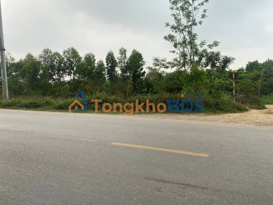 Đất nông nghiệp Sóc Sơn 5.400m² thỏa thuận - Xây dựng tự do