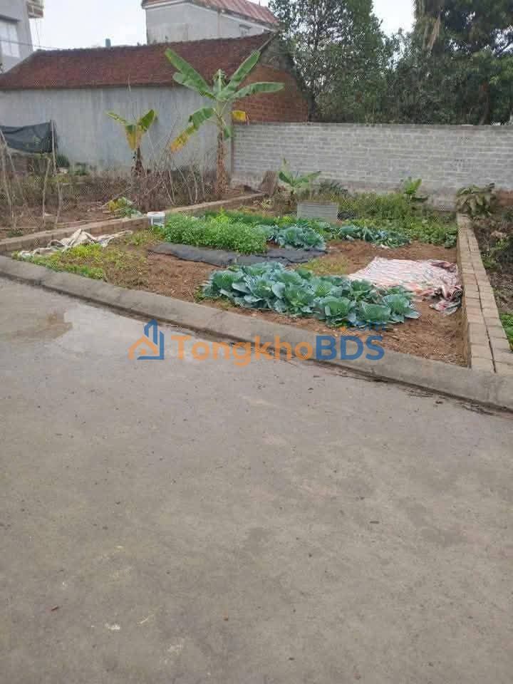 Đất nền ĐH 08 Hạ Bằng 68m² 2.72 tỷ - Đường to ô tô