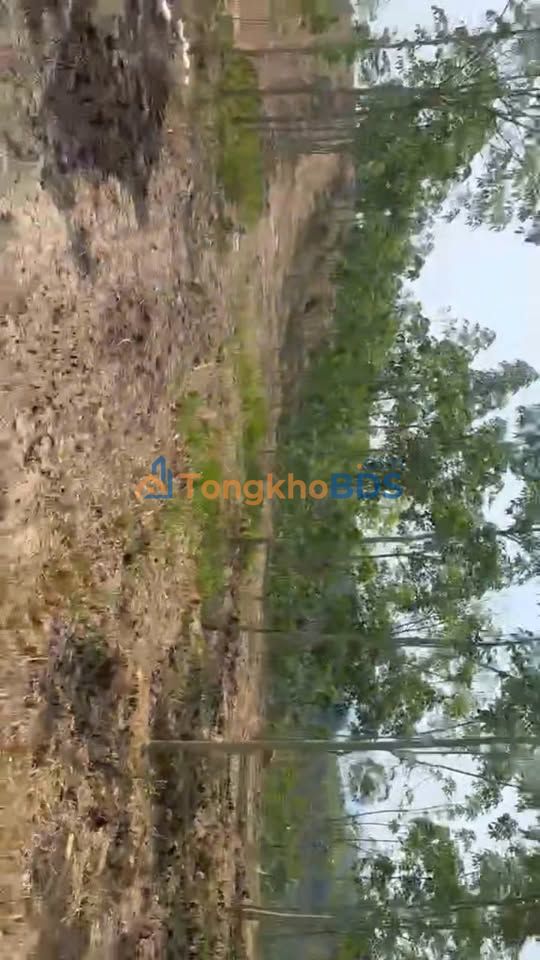 Farm tại Nâm Nung Đắk Nông 3ha 1,799 tỷ - Tiềm năng tăng giá