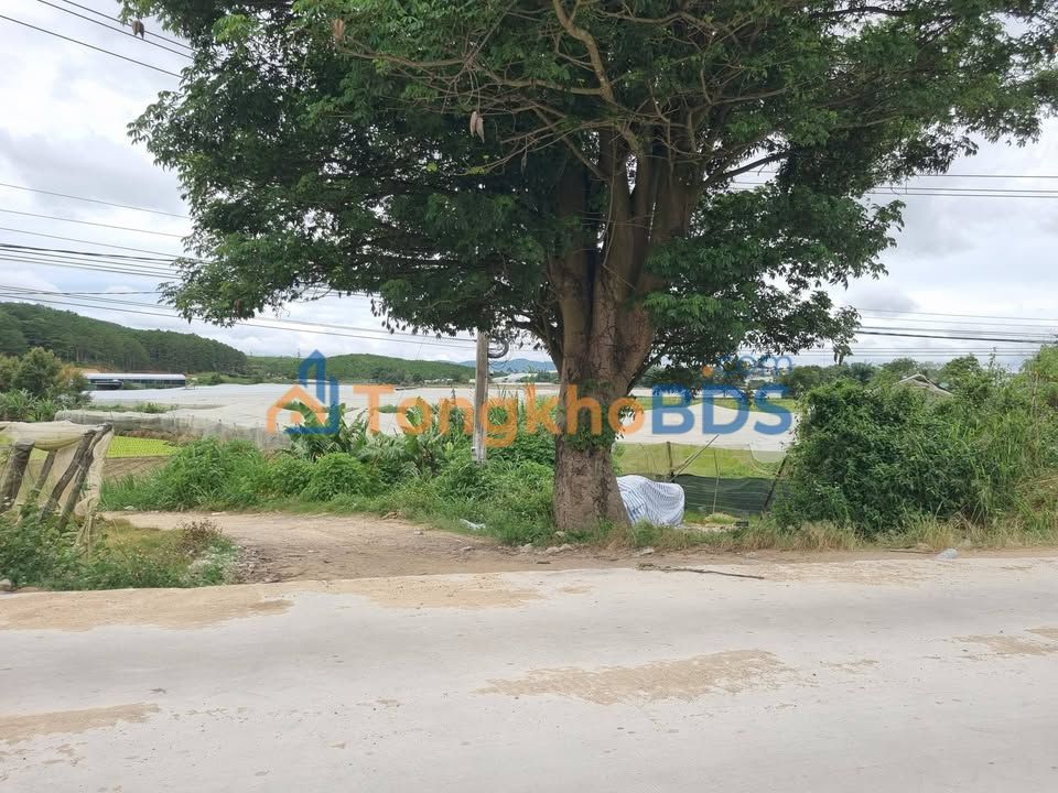 Đất Lạc Xuân Tân Hiên Đà Lạt 1.368m² 2.2 tỷ - Đầu tư dài hạn