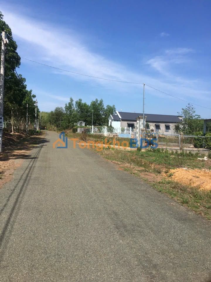 Đất nền Tân Hưng Bàu Bàng 185m² giá 300tr - Đường to ô tô