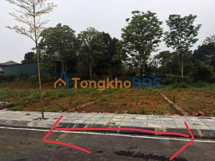 Đất nền Lâm Hóa Lạc Sơn 98m² 6xx triệu - Sổ đỏ chính chủ