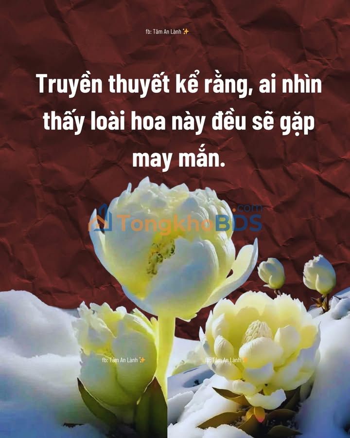 Đất nền Xuân An Long Khánh 150m2 550tr - Thổ cư 100%