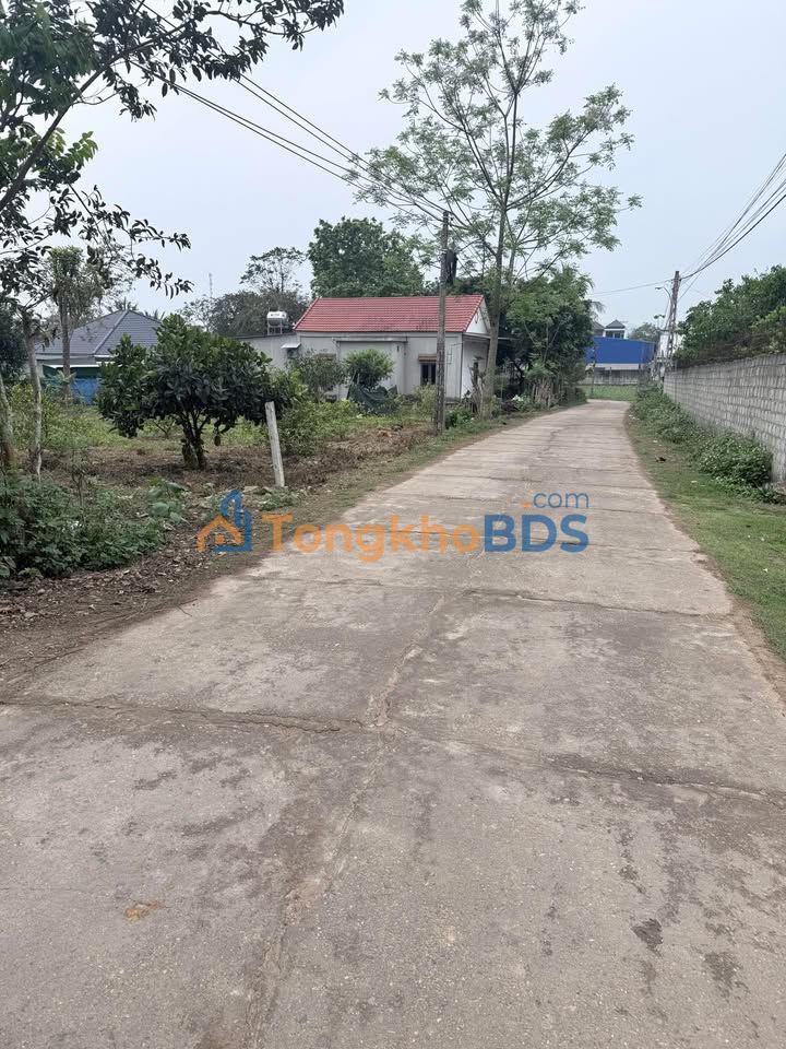 Đất nền Tam Hợp Sơn Thành 200m² – Đường ô tô lớn