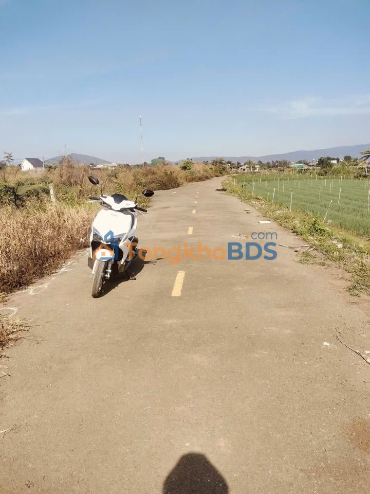 Đất nền Liên Nghĩa 120m² 1,05 tỷ - Đường ô tô