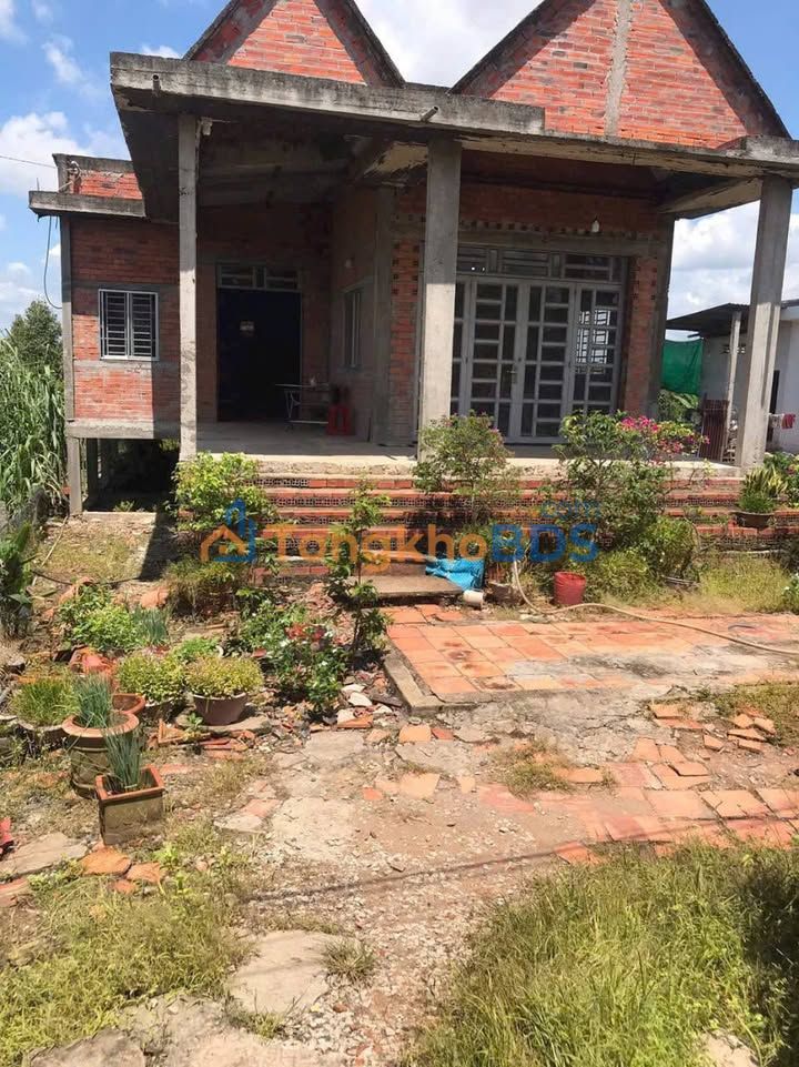 Đất vườn Long Hồ Vĩnh Long 2.563m² 1.5 tỷ - Đầu tư dài hạn