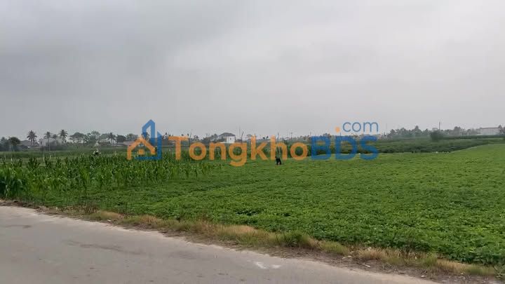 Đất Hoằng Lưu 126m² gần chợ Chùa - Sổ đỏ chính chủ