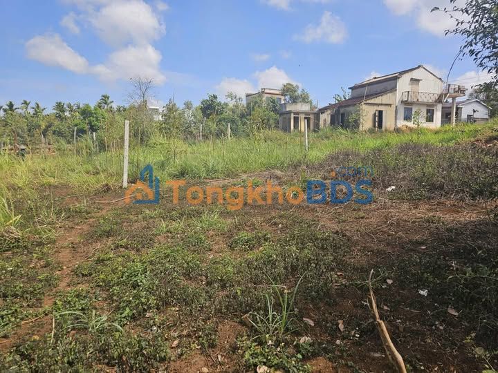 Đất nền Tân Thành Buôn Ma Thuột 125m² 295 triệu - Giá tốt