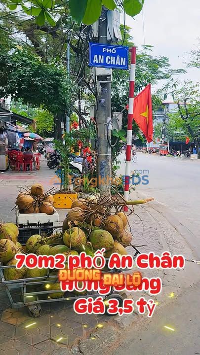 Đất ngõ An Chân Sở Dầu 71m² 3.5 tỷ - Sổ đỏ chính chủ