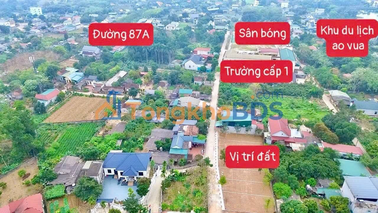 Đất nền Ba Vì 150m² 1.7-1.9 tỷ - Sổ đỏ chính chủ