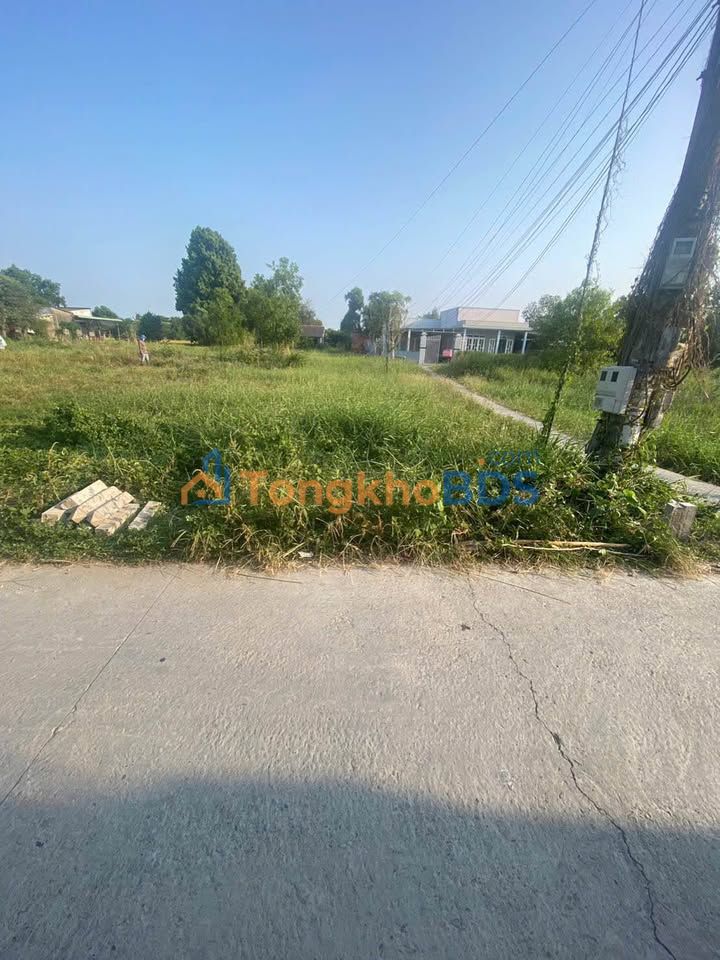 Đất nền Quốc Lộ 50 Tân Phước 121m² - Sổ đỏ chính chủ