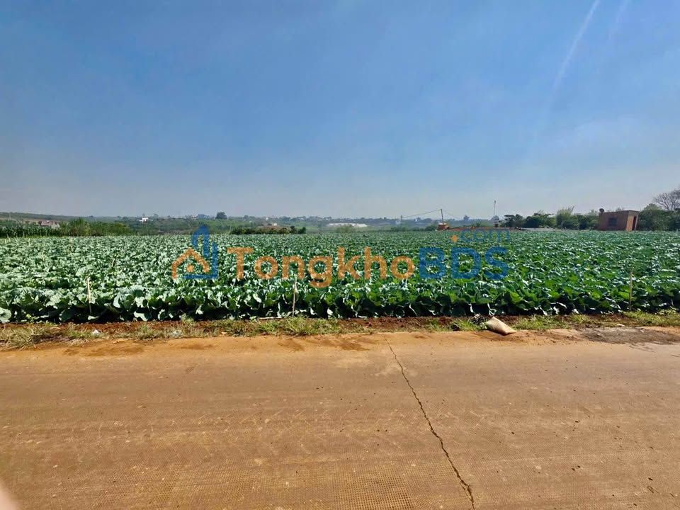 Đất Tân Hội Đức Trọng 235m² 640 triệu - Sổ đỏ chính chủ