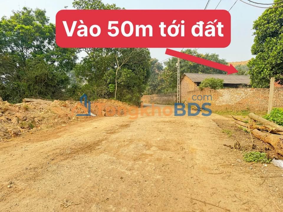 Đất nền Minh Quang Tam Đảo 240m² 500 triệu - Tiềm năng