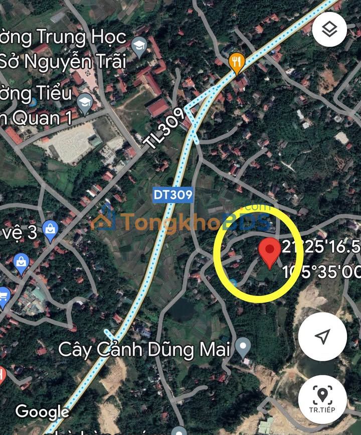 Đất nền Tam Quan Tam Đảo 3.145m² Sổ đỏ chính chủ