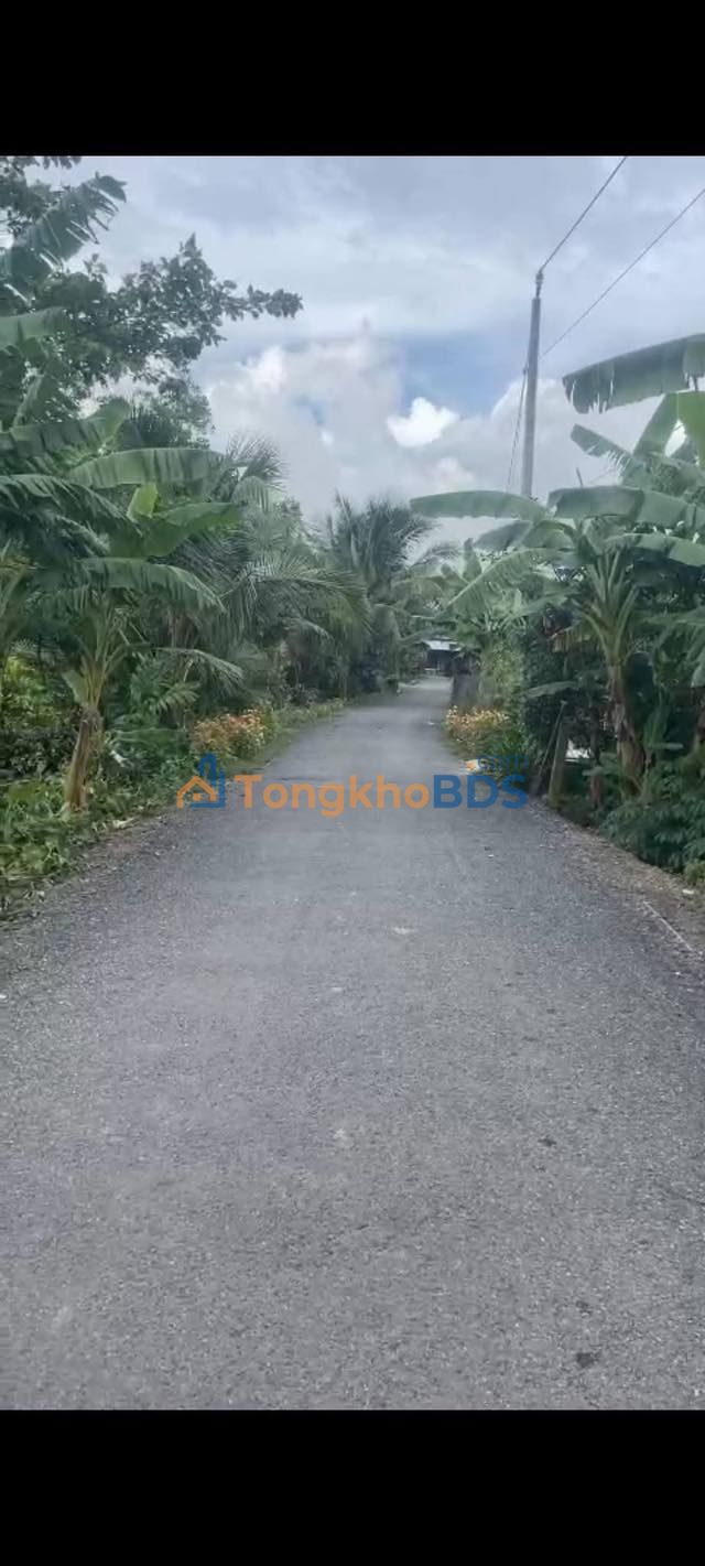 Đất nền Hậu Thành Cái Bè 367m² 690 triệu - Sổ đỏ chính chủ