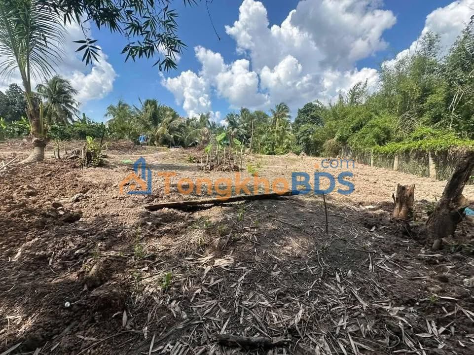 Đất nền Tân Hội Cai Lậy 130m² 280 triệu - Sổ đỏ chính chủ