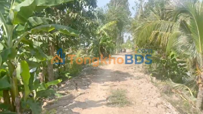 Đất ruộng Tân Công Chí Đồng Tháp 14.432m² 3,5 tỷ - Sổ hồng riêng