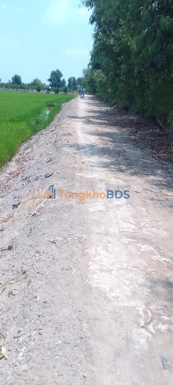 Đất Tân Hòa Tân Thạnh 18.000m² 3.6 tỷ - Tiềm năng tăng giá