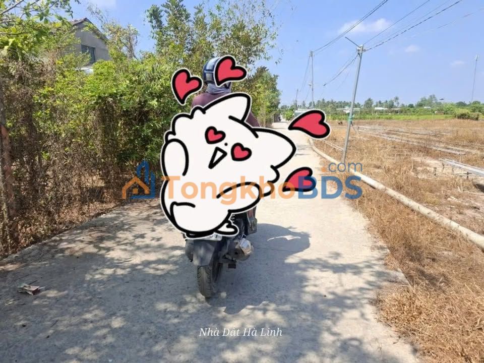 Đất vườn Hòa Nghĩa Chợ Lách 1.531m² 1.064 tỷ - Tiềm năng tăng giá