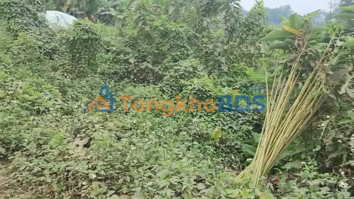 Đất nền Vĩnh Hưng Vĩnh Lộc 210m² giá thỏa thuận - Sổ đỏ chính chủ