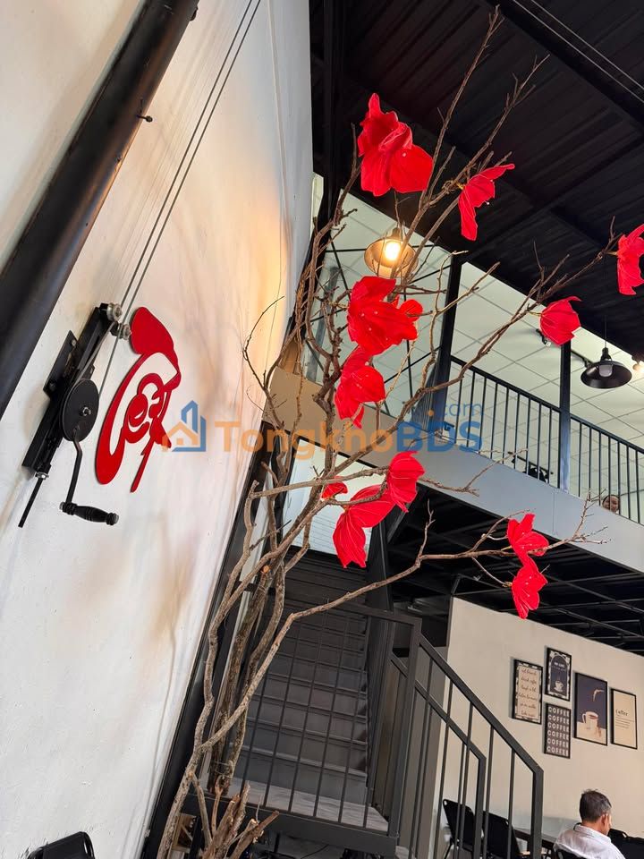 Nhà hẻm Bùi Xuân Phái Quy Nhơn 30m² thỏa thuận - Chính chủ bán