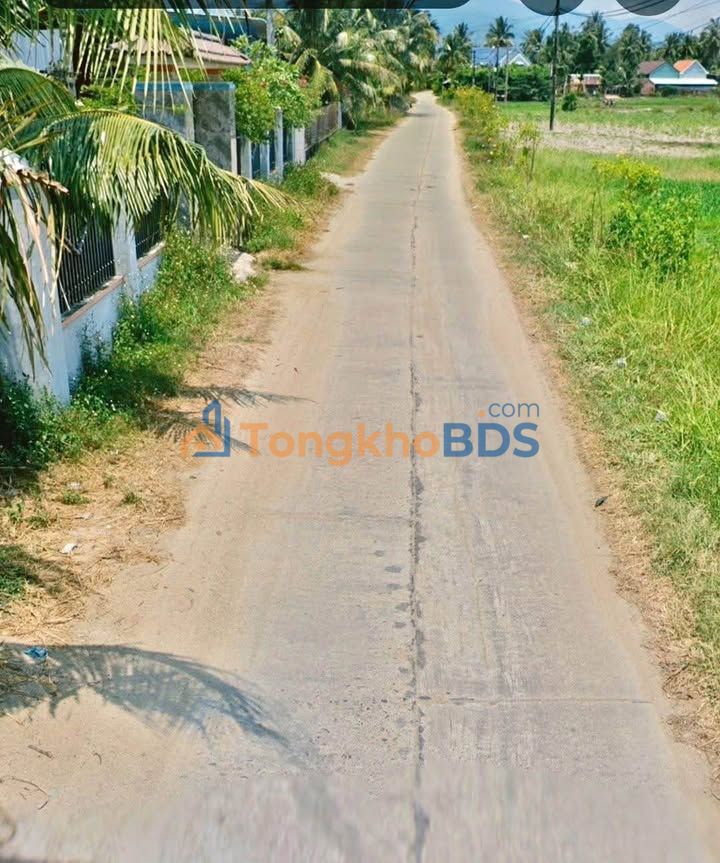 Đất Hòa Hội Phù Cát 339 triệu - Đầu tư sinh lời