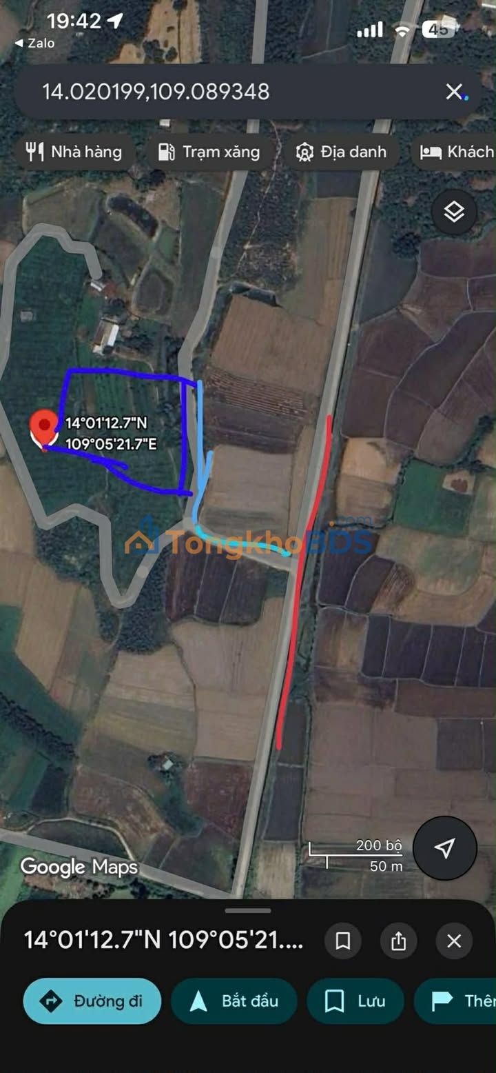 Đất vườn Cát Trinh Phù Cát 1.300m² 200tr - Sổ đỏ chính chủ