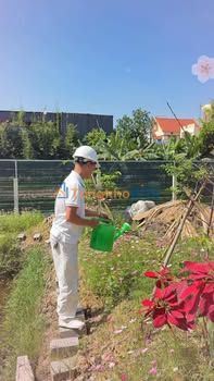 Nhà vườn Quốc Tuấn An Dương 368m² thỏa thuận - Vị trí đẹp