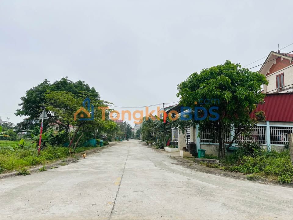 Đất nền Phường Hưng Trí Kỳ Anh 196m² - Tiềm năng tăng giá