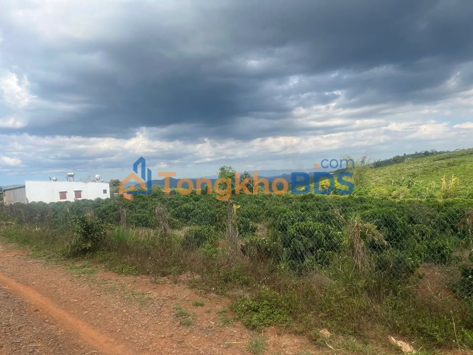 Đất nền Đạ Oai Đạ Huoai 4.131m² 2.85 tỷ - Sổ đỏ chính chủ