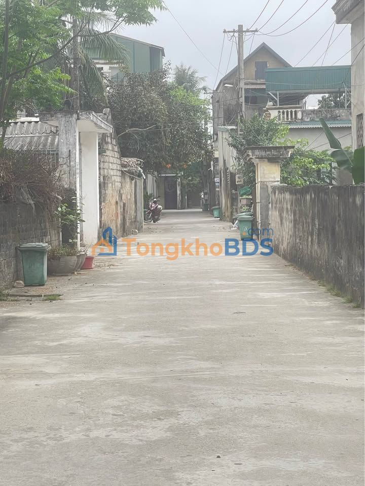 Nhà trọ mini Nguyễn Ngọc Thanh Hóa 310m² - Giá tốt hiếm có