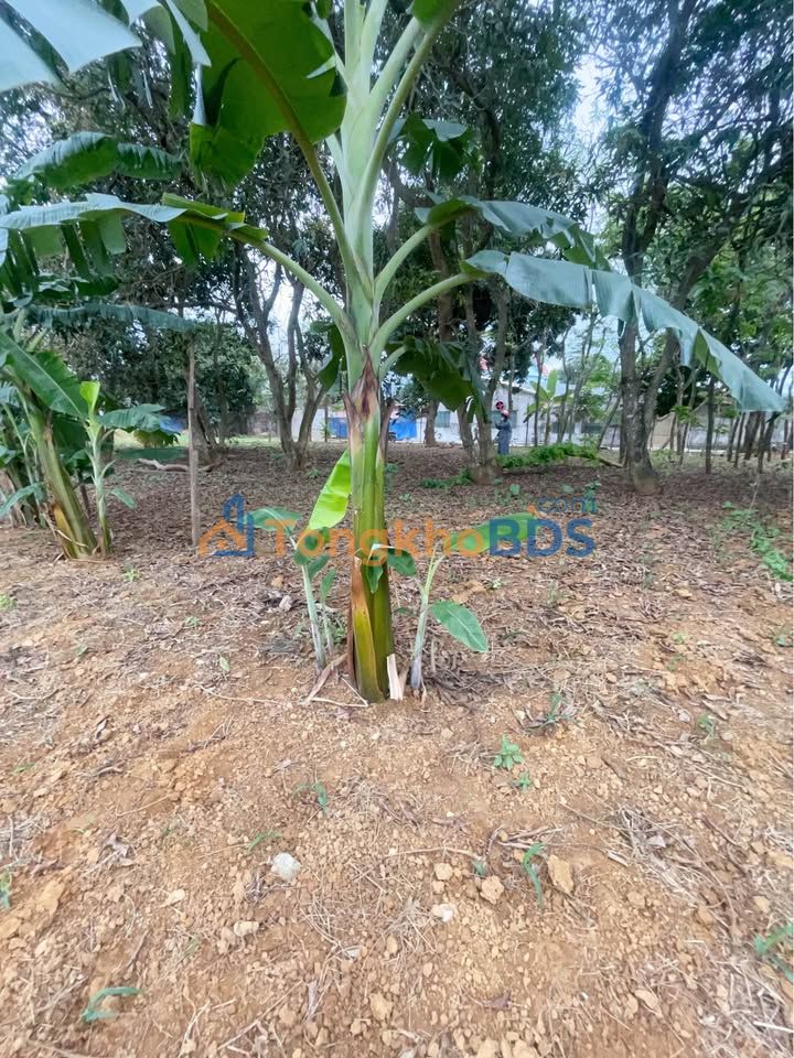 Đất nền Xuân Mai 1020m² giá thỏa thuận - Tiềm năng tăng giá