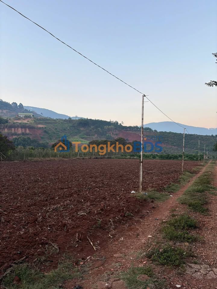 Đất nền Đông Thanh 300m² 850 triệu - Giá tốt hiếm có