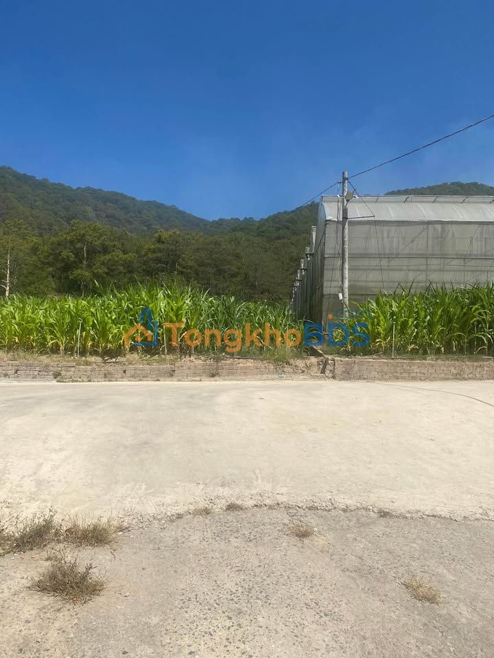 Đất nền Thạnh Mỹ Đơn Dương 421m²/1,1 tỷ - Đất thổ cư 100%