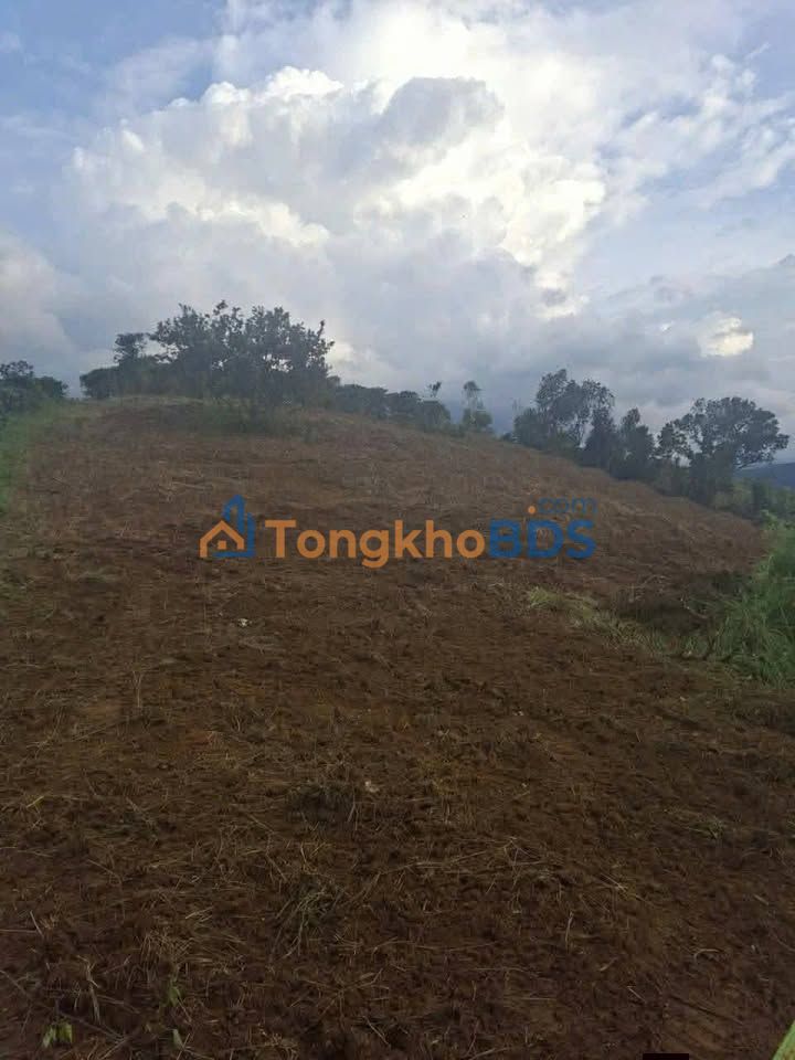 Đất nền Nam Rạ Gia Nghĩa 1.440m² thỏa thuận - Đường to ô tô