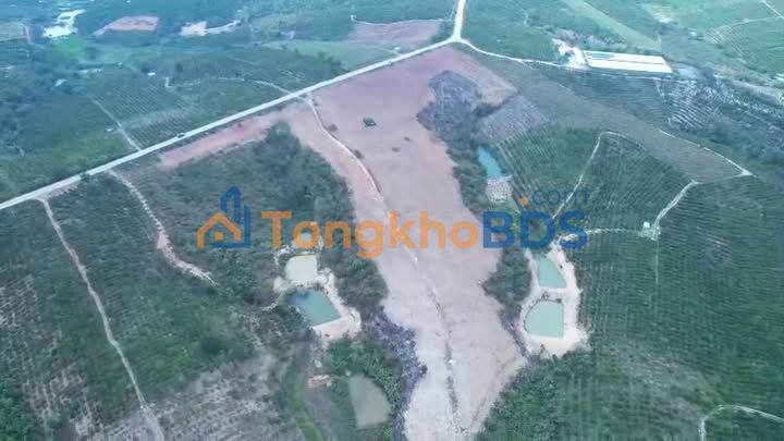 Đất nền Đắk Mar Kon Tum 5ha 6 tỷ - Sổ đỏ chính chủ