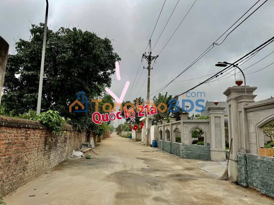 Nhà vườn Long Phú Phú Cát 1.000m² giá 4 tỷ - Chính chủ bán