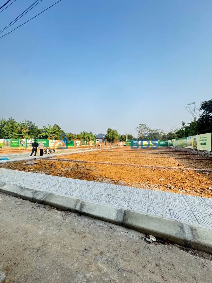 Đất Hòa Lạc Thạch Thất 100m² 2.1 tỷ - Sổ đỏ chính chủ