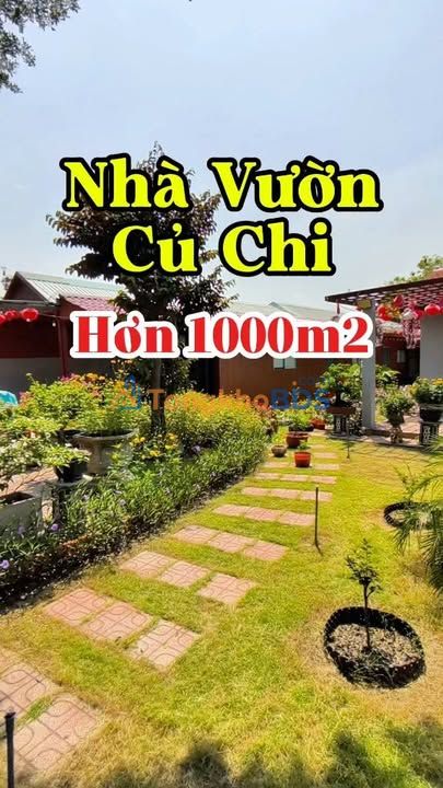 Farm Tân Phú Trung Củ Chi 1003m² 8.6 tỷ - Nghỉ dưỡng lý tưởng