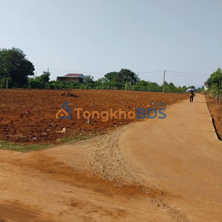 Đất nền Hẻm Trường Sơn Ia Sao 154m² 2xx - Tiềm năng tăng giá