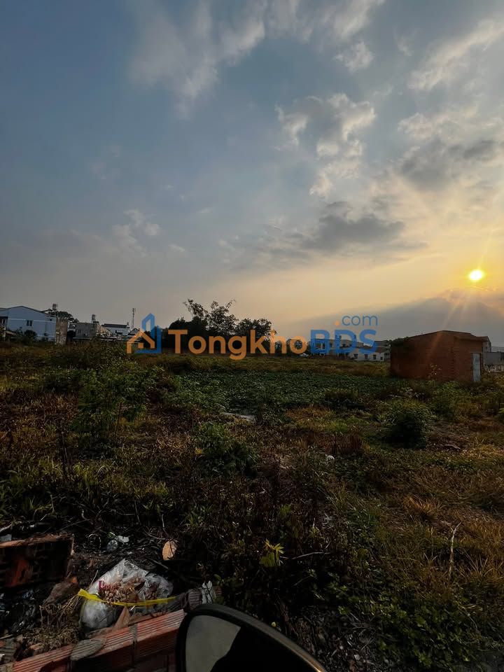 Đất cho thuê DX18 Phú Mỹ 5.500m² 20 triệu - Sổ đỏ chính chủ