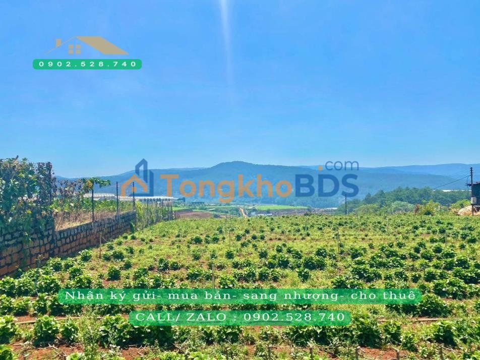 Đất Xuân Thọ Đà Lạt 1200m² 10 triệu - Đường ô tô to