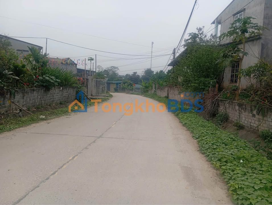 Đất nền Nông Tiến Tuyên Quang 187m² 1.6 tỷ - Đường ô tô