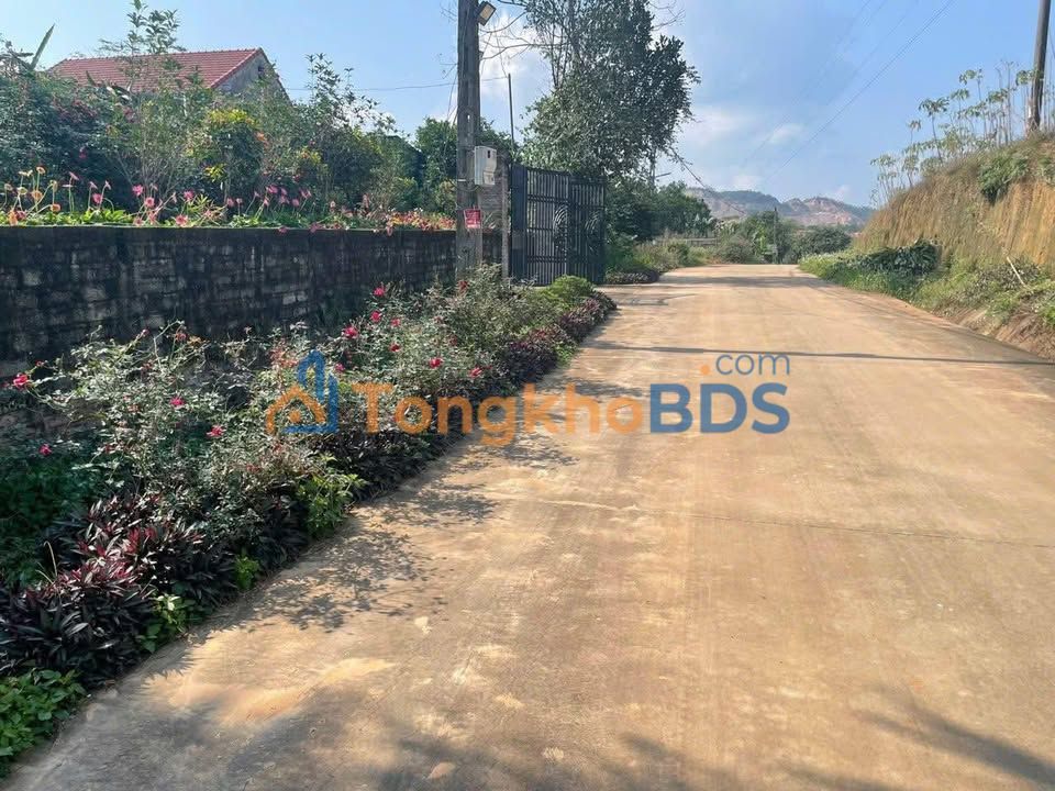 Đất nền Đường HCM Đào Xá 120m² 800 triệu - Đường to ô tô